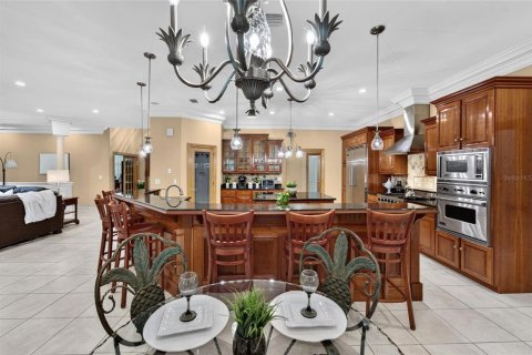 Villa ou maison à vendre à Valrico, Floride: 4 chambres, 351.54 m2 № 2430909 - photo 13