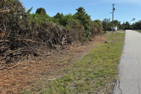 Land in Port Charlotte, Florida № 2165637 - photo 3