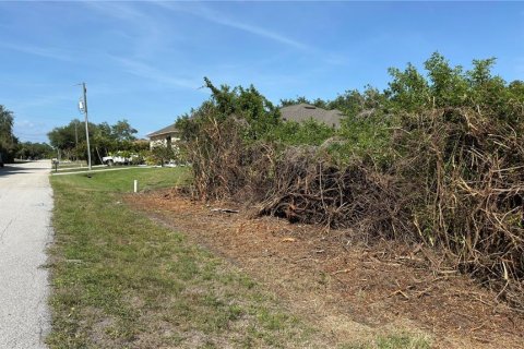 Land in Port Charlotte, Florida № 2165637