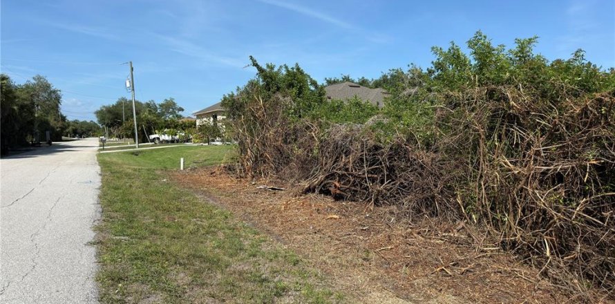 Land in Port Charlotte, Florida № 2165637