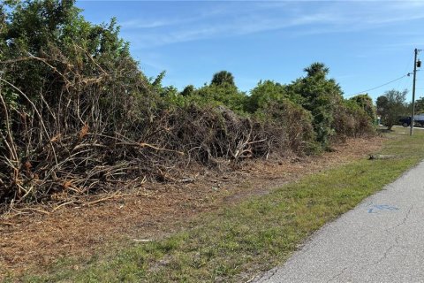 Land in Port Charlotte, Florida № 2165637 - photo 4