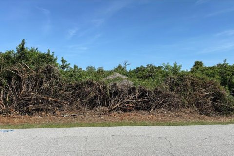 Land in Port Charlotte, Florida № 2165637 - photo 5
