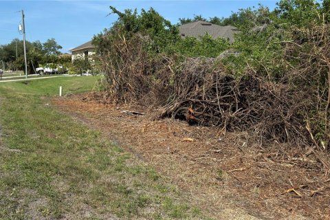 Land in Port Charlotte, Florida № 2165637 - photo 2