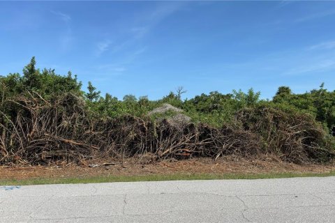 Land in Port Charlotte, Florida № 2165637 - photo 6