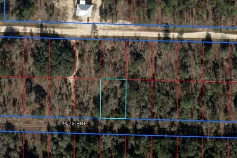 Land in Williston, Florida № 2228941