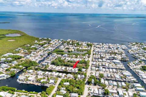 Villa ou maison à vendre à Key Largo, Floride: 2 chambres, 67.73 m2 № 1977231 - photo 5