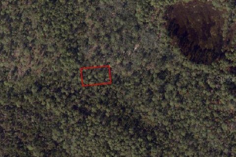 Land in Pensacola, Florida № 2163779