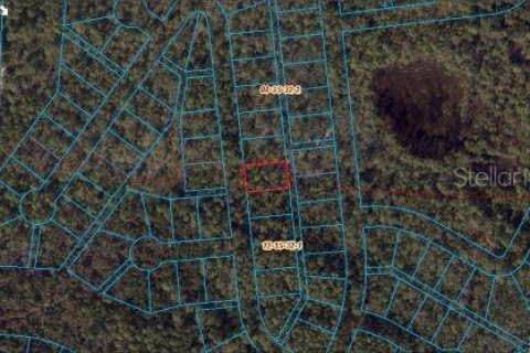 Land in Pensacola, Florida № 2163779 - photo 2