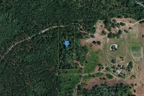 Terreno en Perry, Florida № 2203343