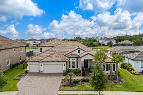 House in Wesley Chapel, Florida 5 bedrooms, 417.13 sq.m. № 2116989