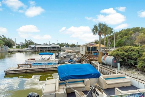 Immobilier commercial à vendre à Tavares, Floride: 175.59 m2 № 2377534 - photo 4