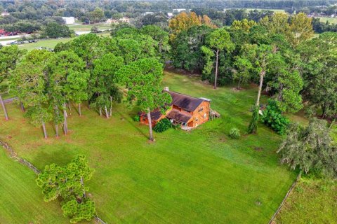 Terreno en venta en Ocala, Florida № 2126546 - foto 12