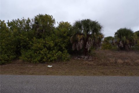 Land in North Port, Florida № 2165488 - photo 5