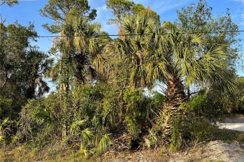 Land in North Port, Florida № 2228938 - photo 5