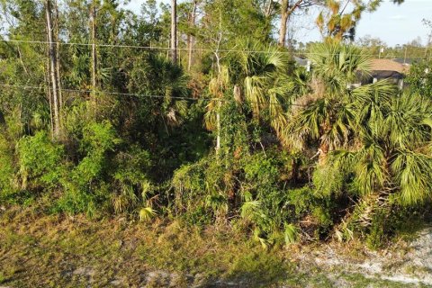 Land in North Port, Florida № 2228938 - photo 4