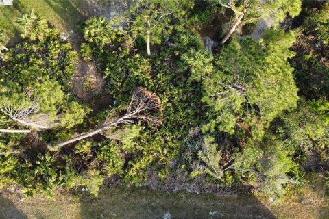 Land in North Port, Florida № 2228938 - photo 3