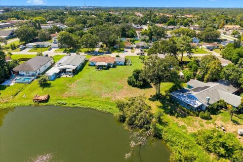 Terrain à Palm Harbor, Floride № 2361452