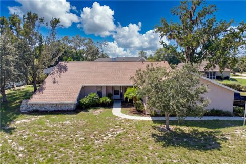 Villa ou maison à Spring Hill, Floride 3 chambres, 160.91 m2 № 2418857
