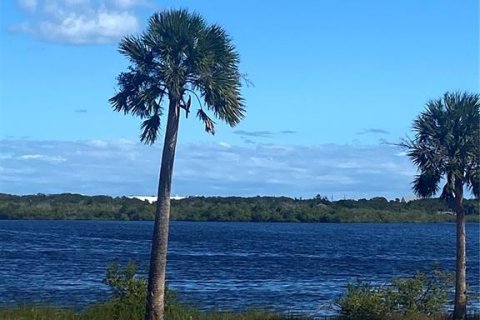 Land in Flagler Beach, Florida № 1792950 - photo 2