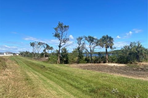 Land in Flagler Beach, Florida № 1792950 - photo 8
