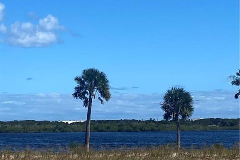 Land in Flagler Beach, Florida № 1792950 - photo 16