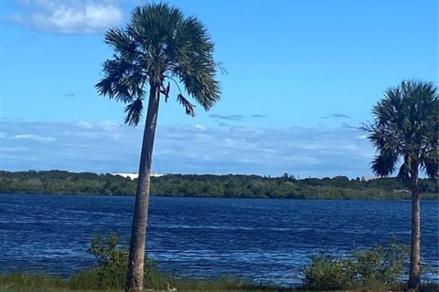Land in Flagler Beach, Florida № 1792950 - photo 15