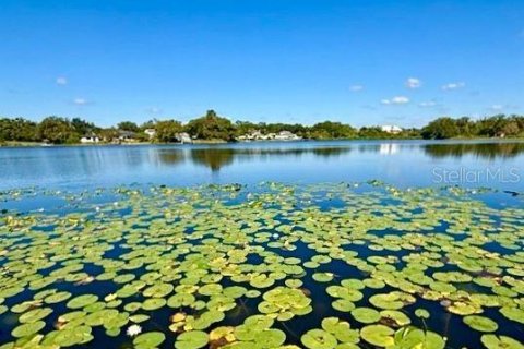 Villa ou maison à Tampa, Floride 6 chambres, 310.67 m2 № 2239119