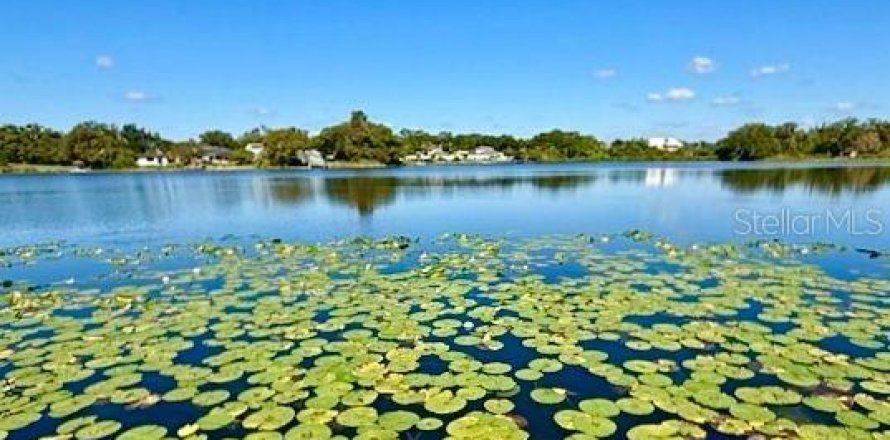 Villa ou maison à Tampa, Floride 6 chambres, 310.67 m2 № 2239119