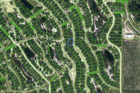 Land in Lake Placid, Florida № 2164193