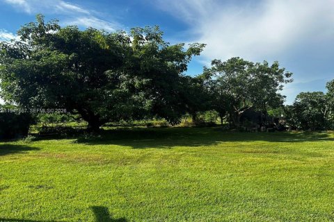 Immobilier commercial à vendre à Homestead, Floride № 2089033 - photo 4