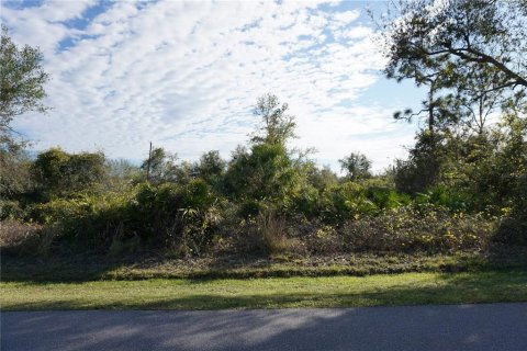 Land in Punta Gorda, Florida № 2165485 - photo 2