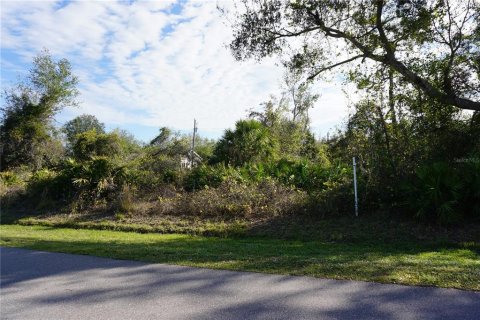 Land in Punta Gorda, Florida № 2165485