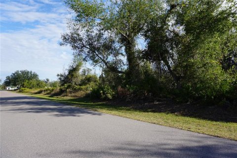 Land in Punta Gorda, Florida № 2165485 - photo 7