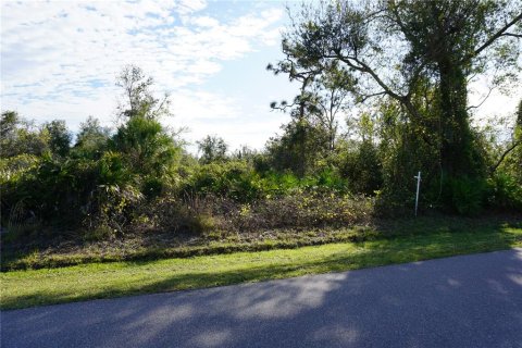 Land in Punta Gorda, Florida № 2165485 - photo 4