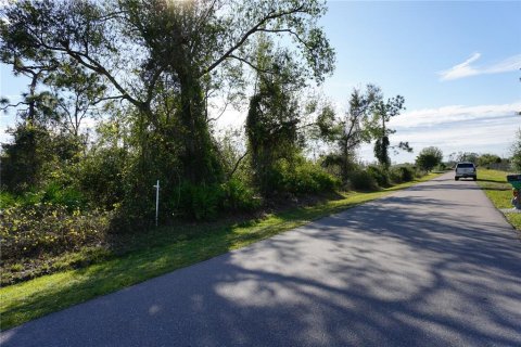 Land in Punta Gorda, Florida № 2165485 - photo 6