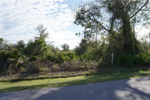 Land in Punta Gorda, Florida № 2165485 - photo 3