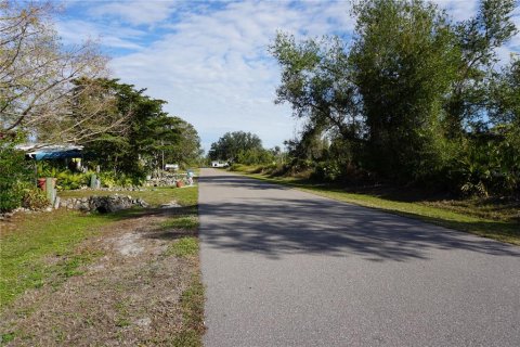 Land in Punta Gorda, Florida № 2165485 - photo 5