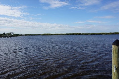 Land in Punta Gorda, Florida № 2165485 - photo 20
