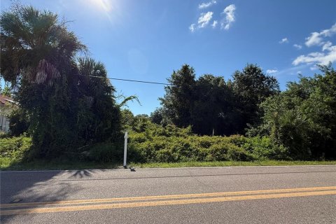 Land in Port Charlotte, Florida № 2353207