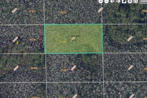 Land in Orlando, Florida № 1341712 - photo 1