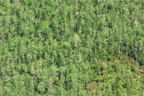 Land in Orlando, Florida № 1341712 - photo 3
