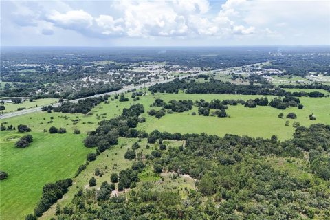 Land in Bushnell, Florida № 1803519 - photo 8