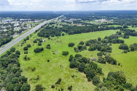 Land in Bushnell, Florida № 1803519 - photo 5