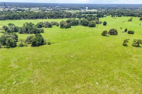 Land in Bushnell, Florida № 1803519 - photo 11