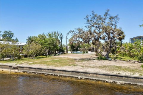 Terreno en venta en Punta Gorda, Florida № 1628489 - foto 19