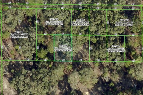 Terrain à Brooksville, Floride № 2159817