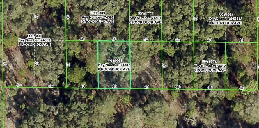Terrain à Brooksville, Floride № 2159817