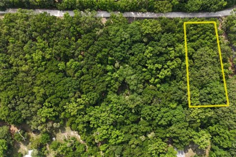Terreno en venta en Inverness, Florida № 1883331 - foto 2
