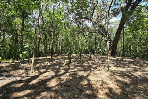 Terreno en venta en Inverness, Florida № 1883331 - foto 22