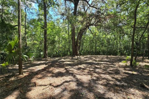 Terreno en venta en Inverness, Florida № 1883331 - foto 19